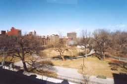 A great view of the park from owner's window